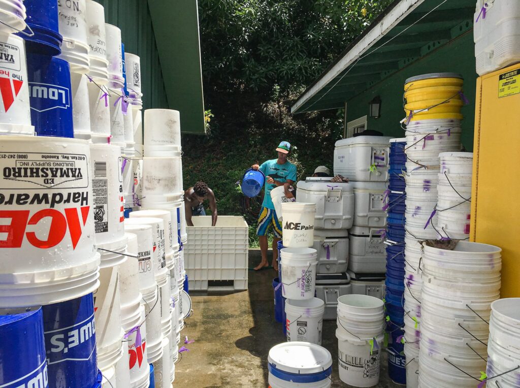 Workers organizing large stacks of white buckets in an outdoor storage area.