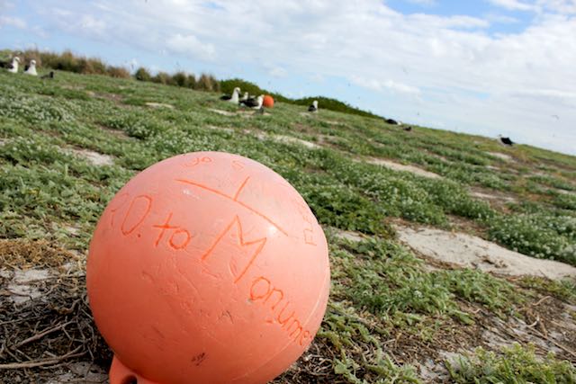 An orange ball with 'To Mom' written on it lies on grassy ground outdoors.