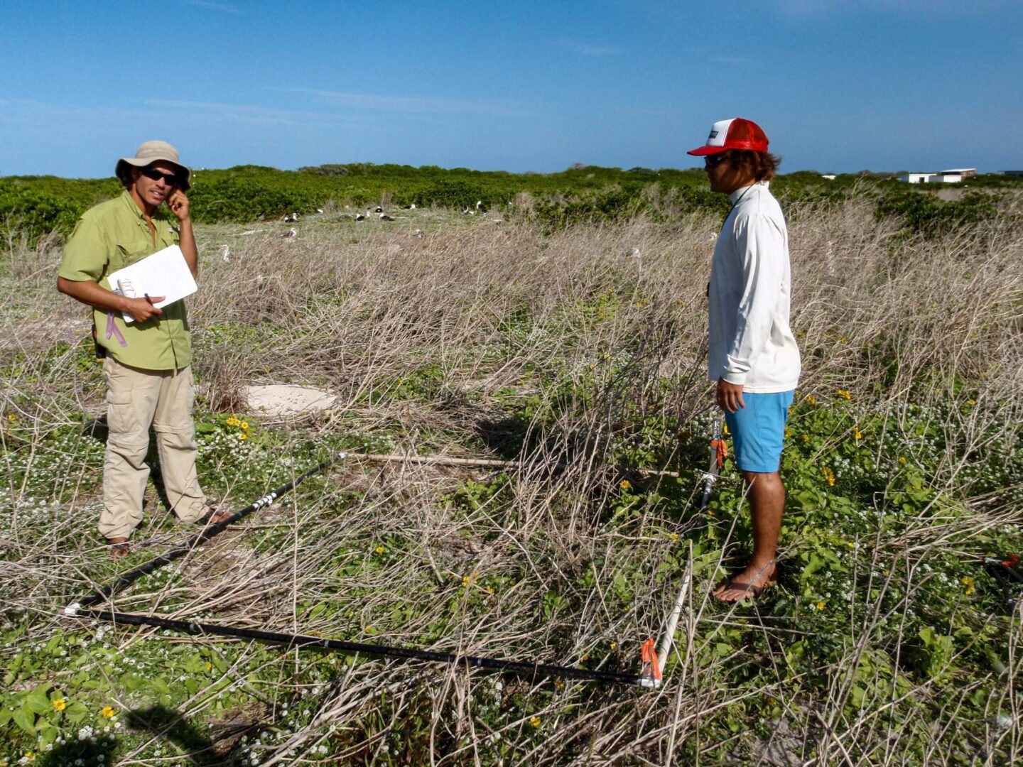 Two people measuring a rectangular area outdoors with a tape measure.
