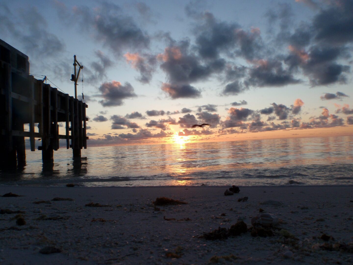 Sunset view over calm water with a pier silhouette.